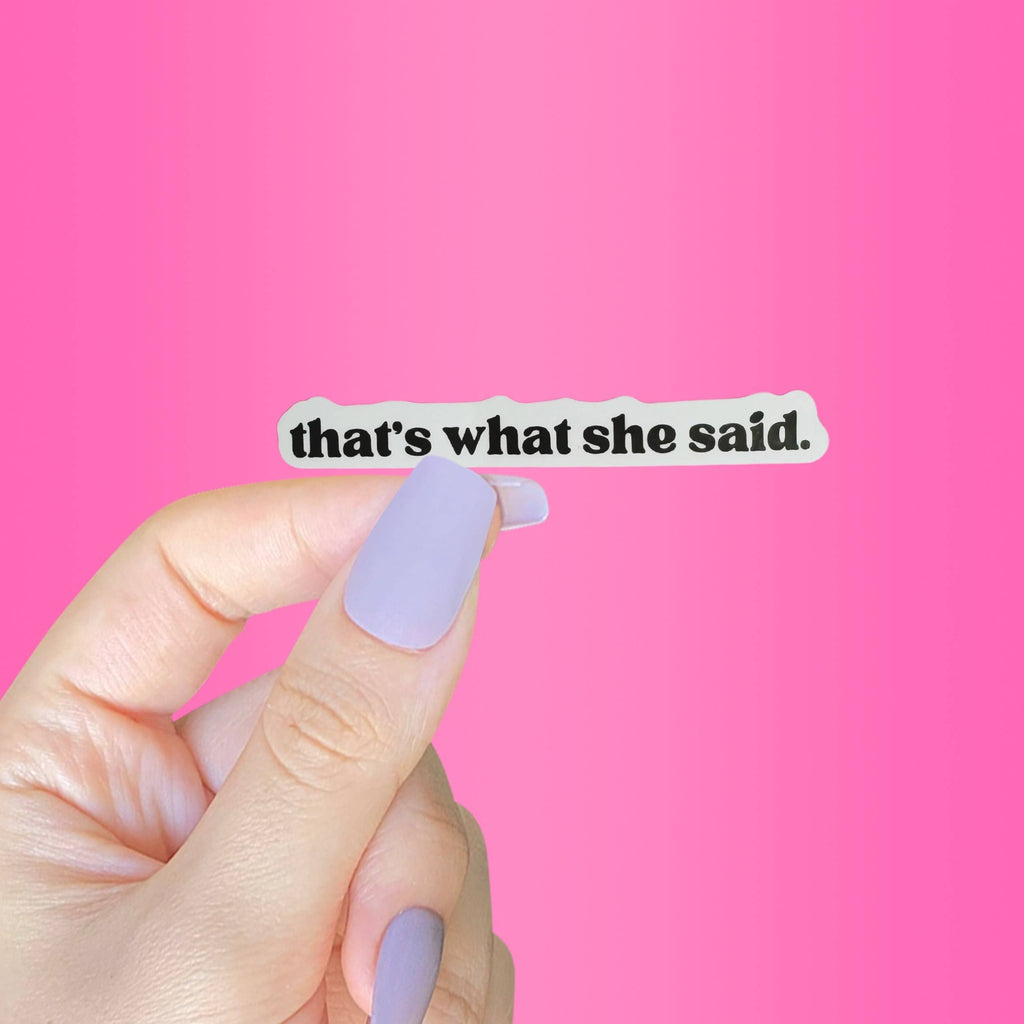That's What She Said Funny Adult Rude Sticker