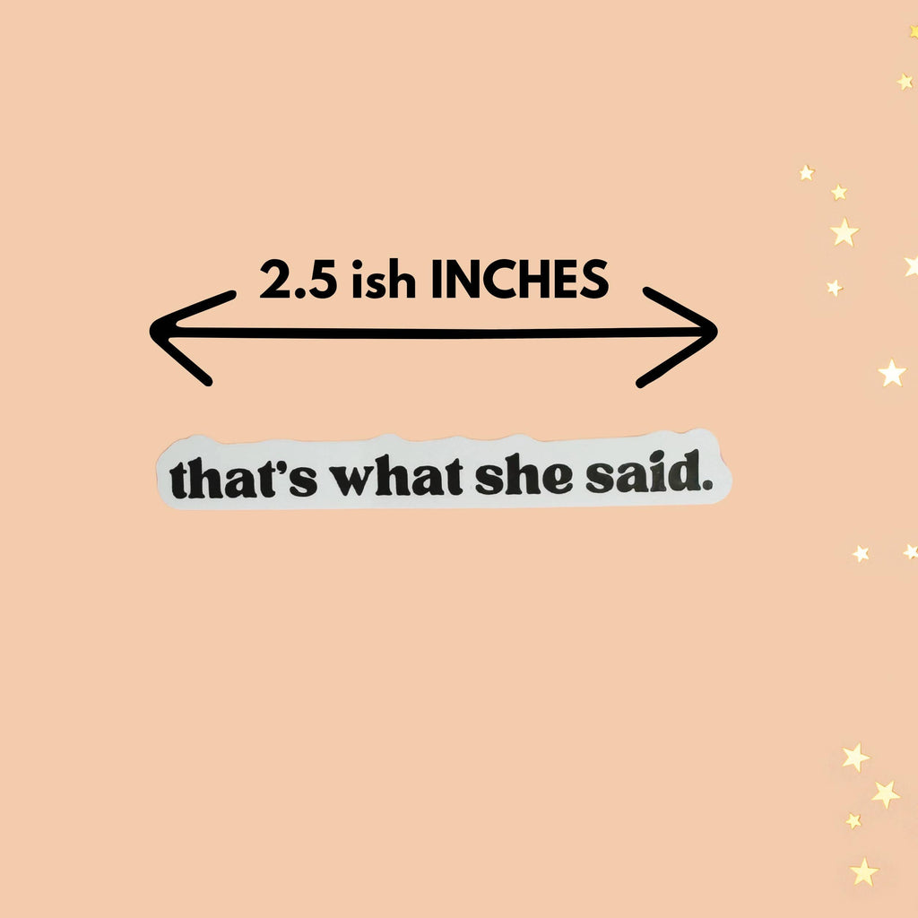 That's What She Said Funny Adult Rude Sticker
