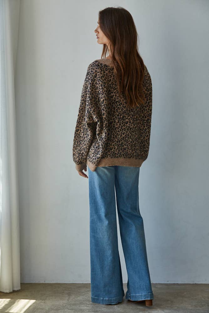 Knit Sweater V-Neck Cardigan