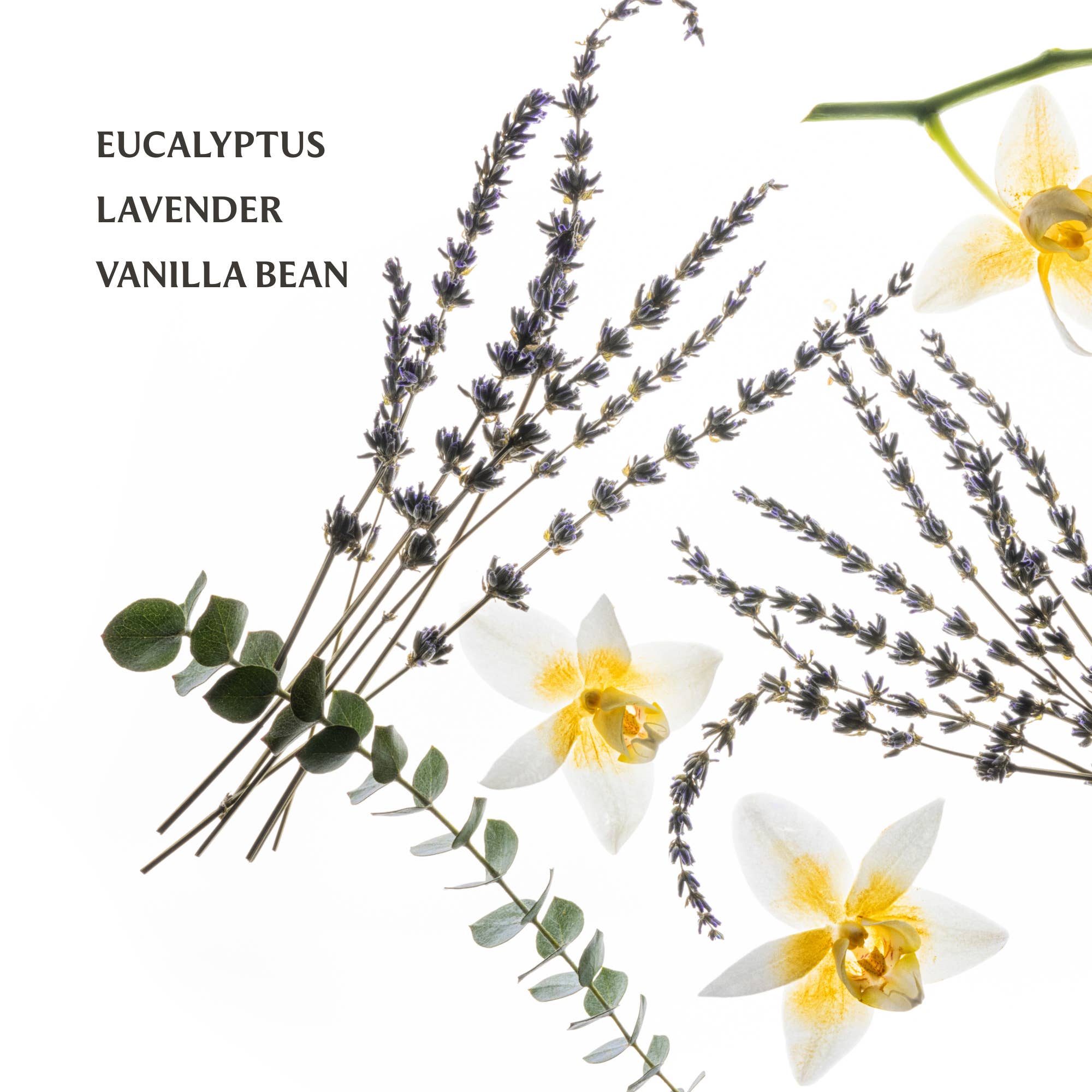 Hydrating Hand Sanitizer - Pure Lavender