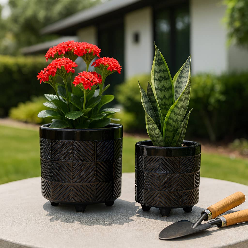 Black Ceramic Round Textured Planter