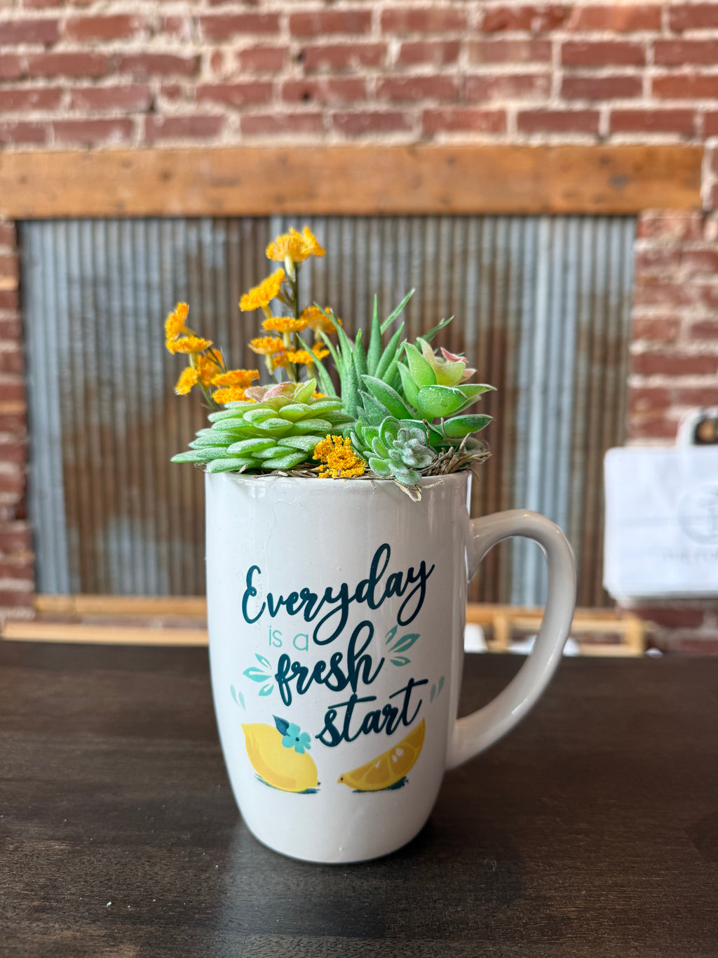 Faux succulents