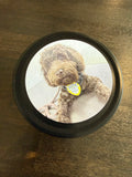 K9 Candles