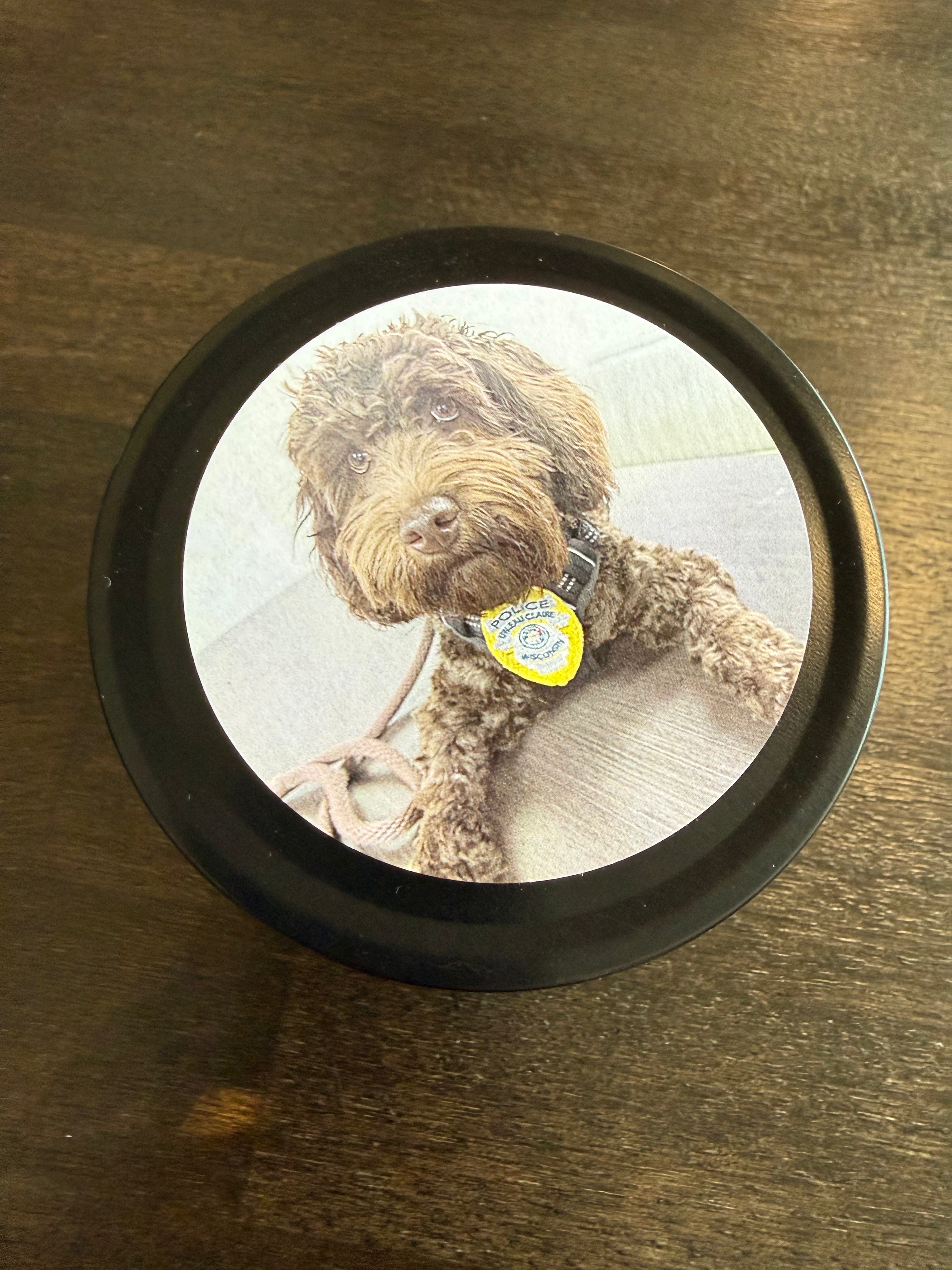 K9 Candles