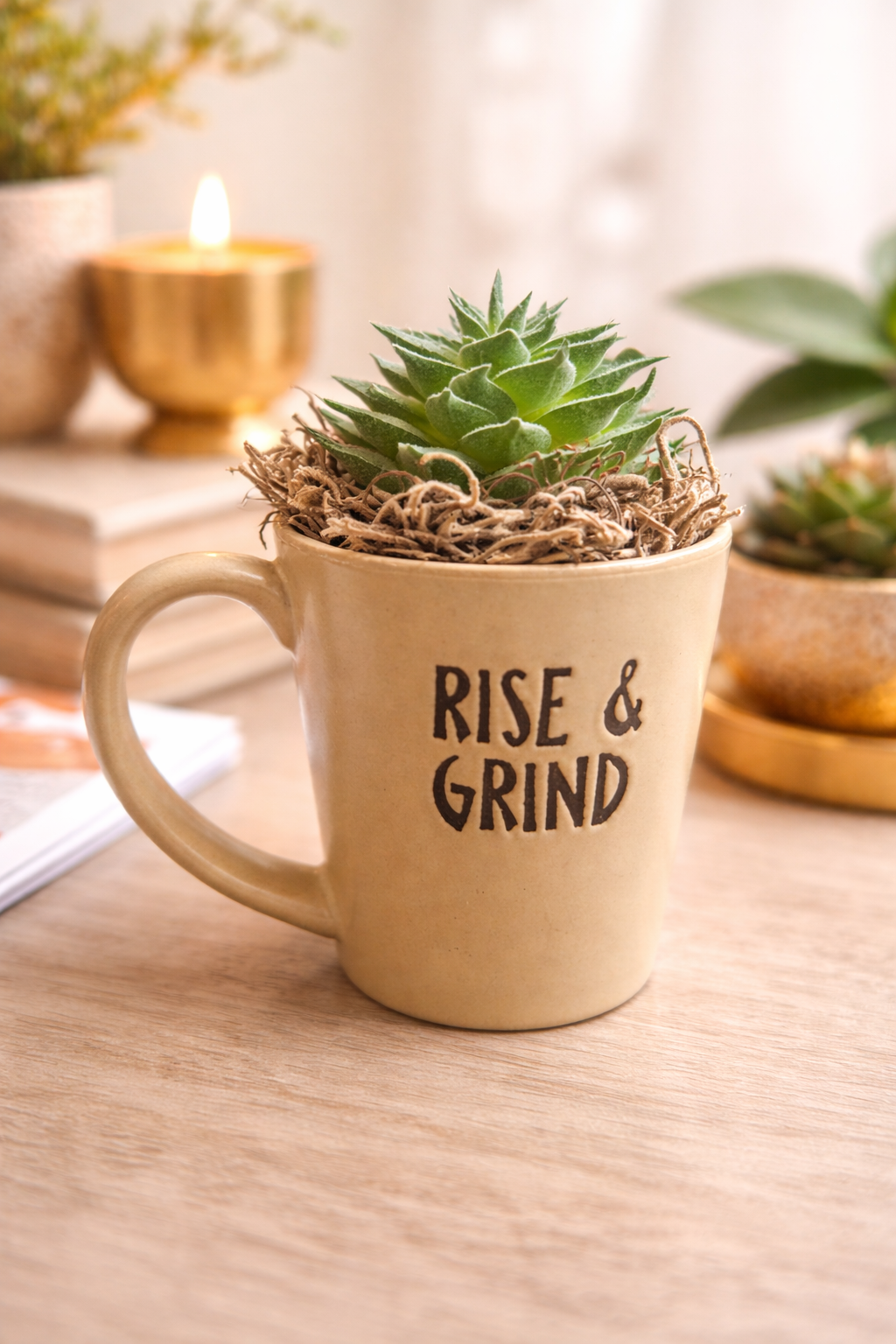 Faux Succulents- Mini