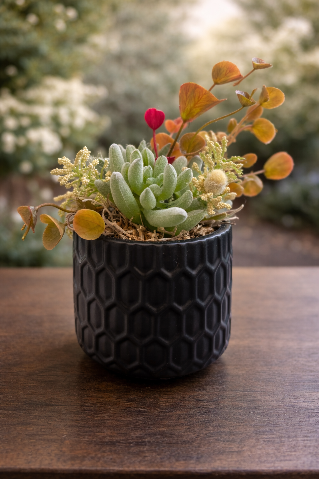 Faux succulents