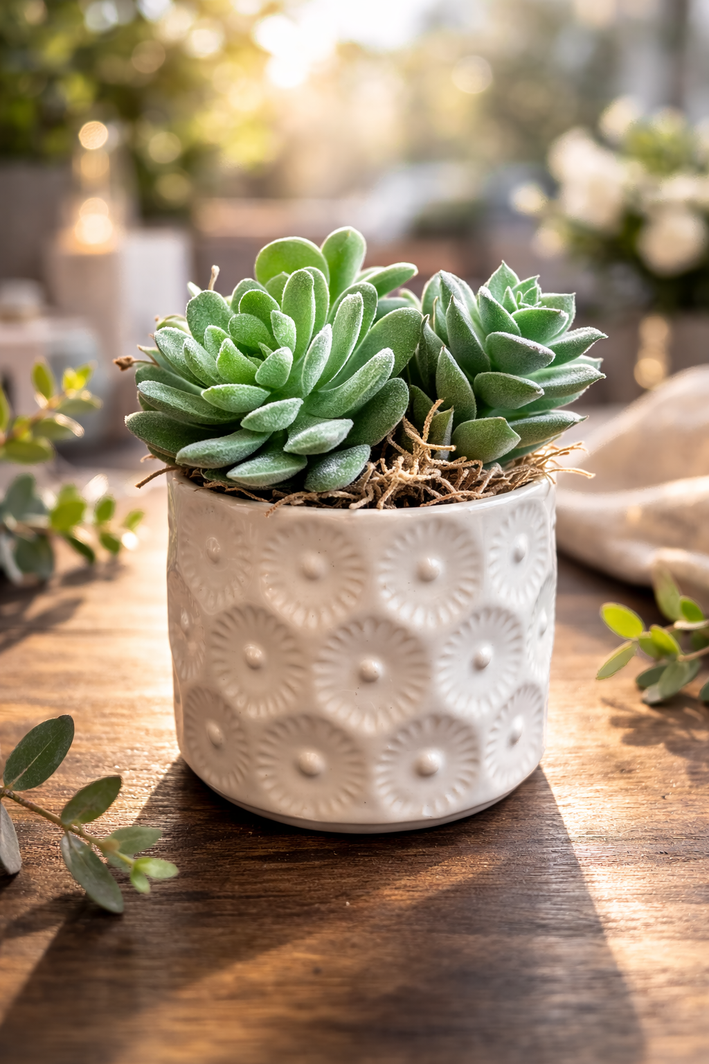 Faux succulents