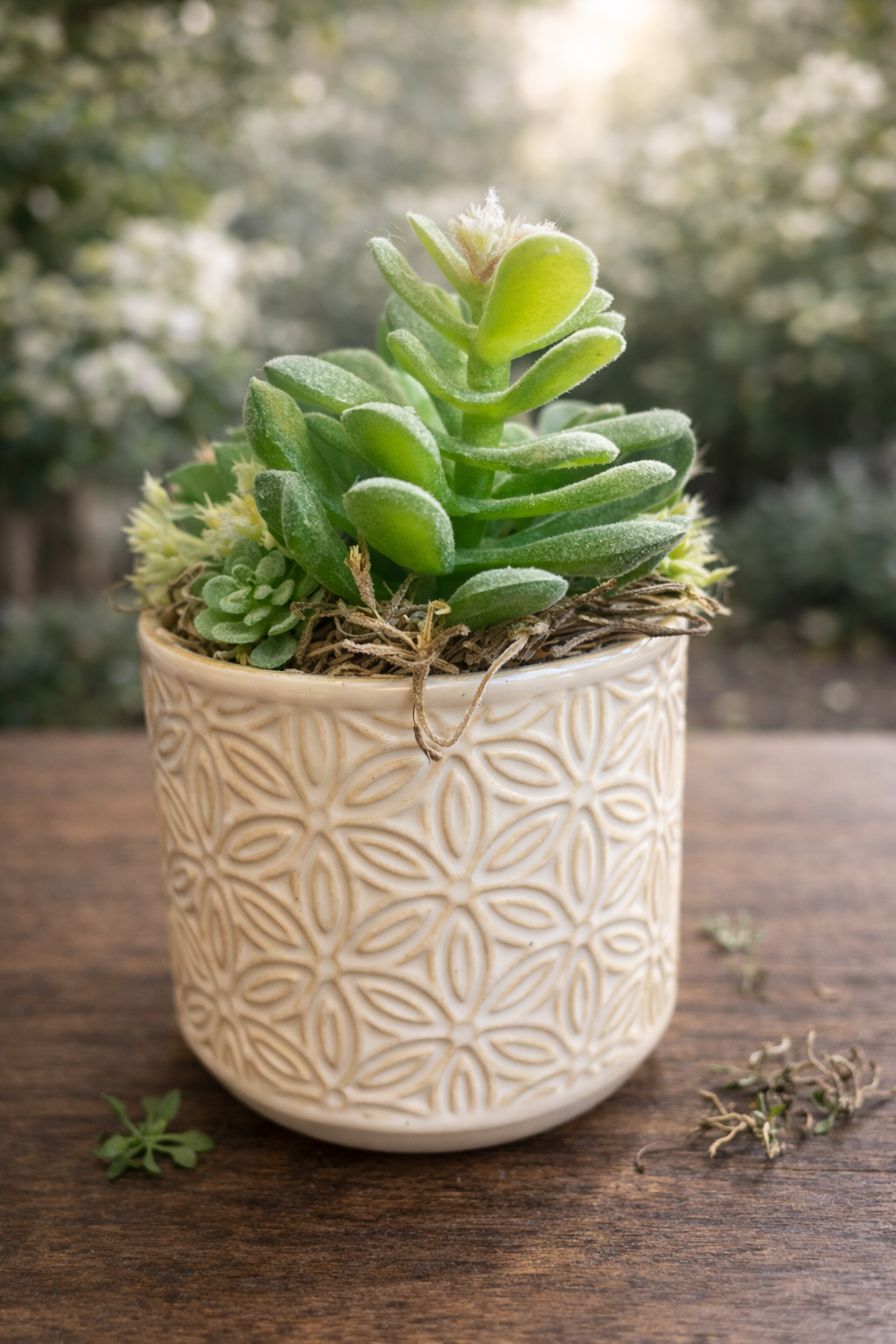 Faux succulents