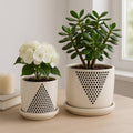White Ceramic Triangle Dots